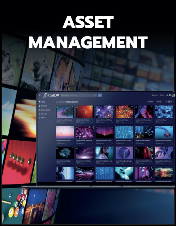 Asset Management